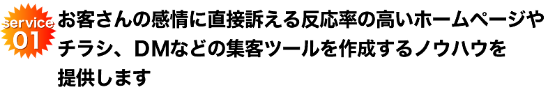 お客さんの感情に直接訴える反応率の高いホームページやチラシ、ＤＭなどの集客ツールを作成するノウハウを提供します